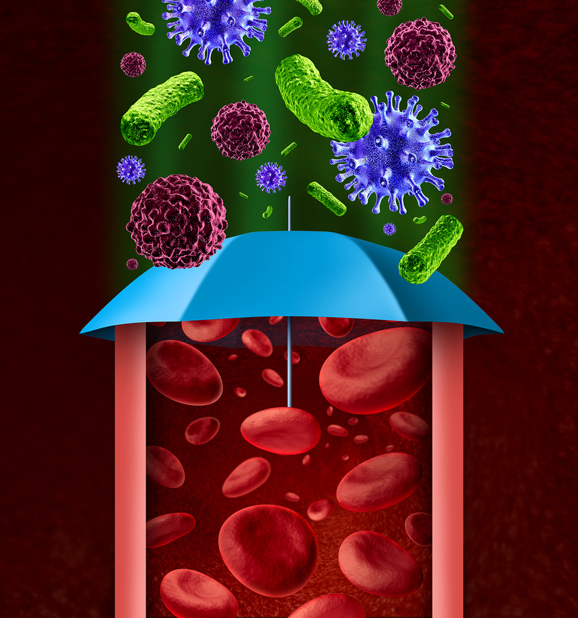 Biochlorella research